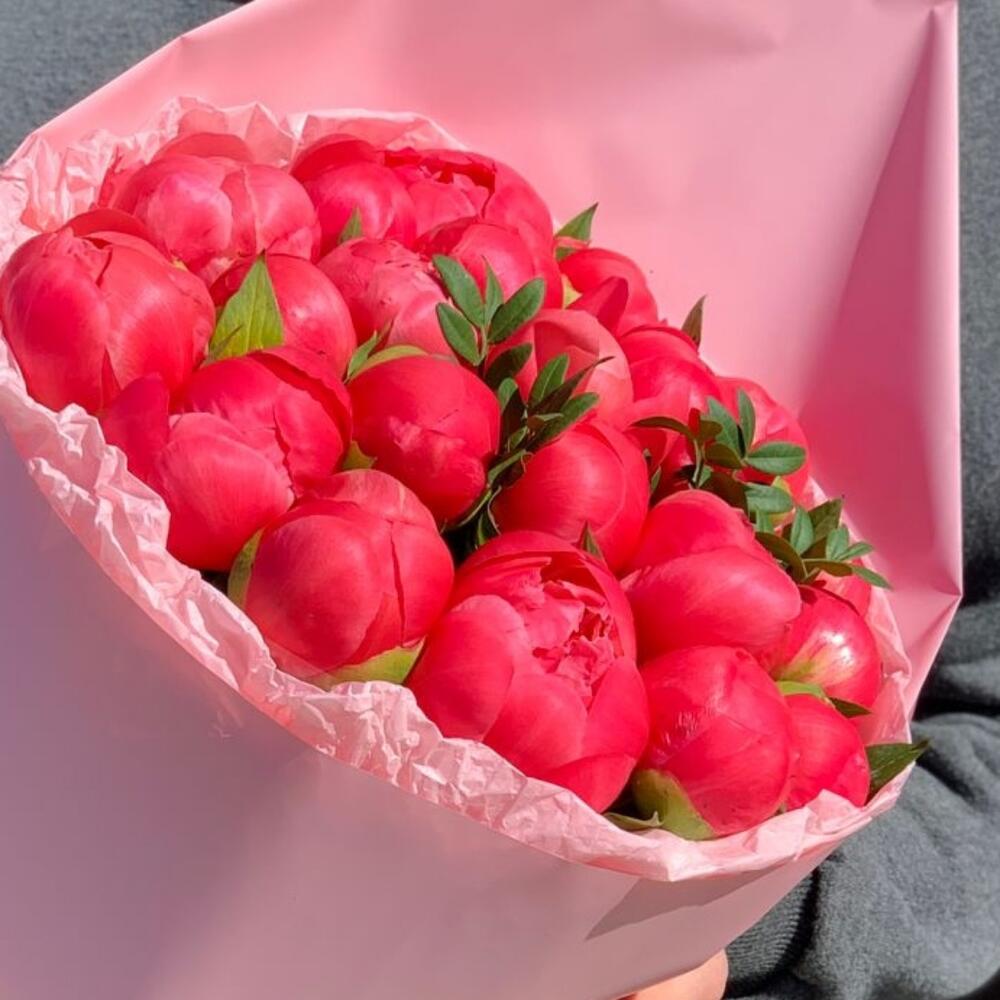 21 пион Коралл Шарм в дизайнерской упаковке 21 пион Коралл Шарм в дизайнерской упаковке